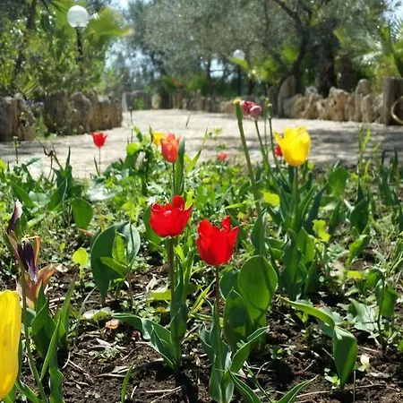 Alloggio per agriturismo Tenuta La Siesta