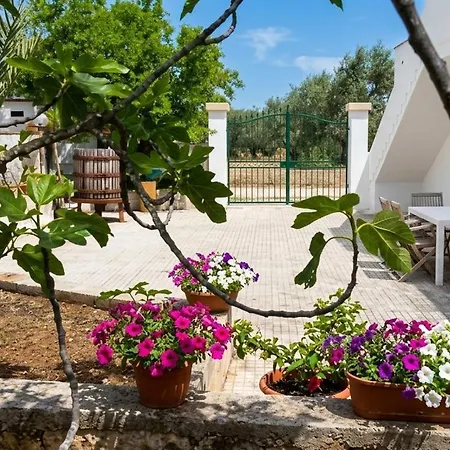 Tenuta La Siesta *