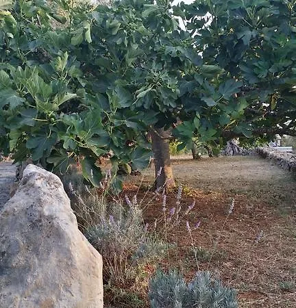 Alloggio per agriturismo Tenuta La Siesta *