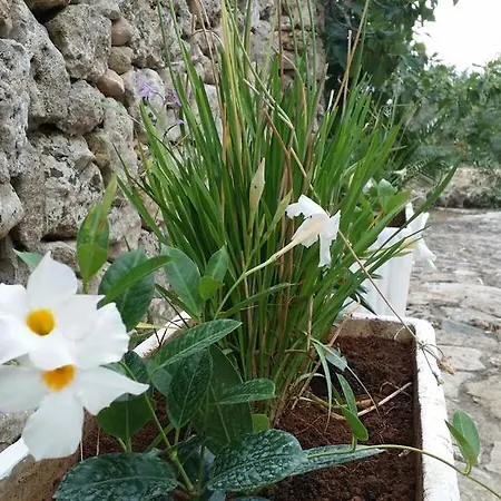 Tenuta La Siesta * Галлиполи