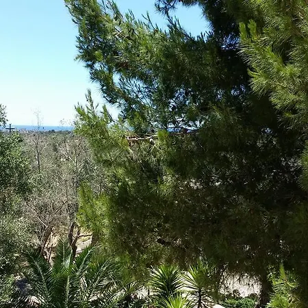 Tenuta La Siesta *