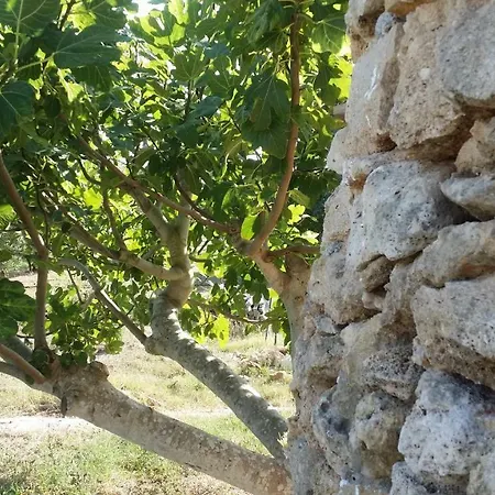 Farmház Tenuta La Siesta Gallipoli