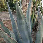 Tenuta La Siesta Gallipoli