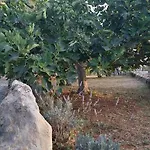 Farm stay Tenuta La Siesta *