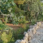 Tenuta La Siesta Farm stay *