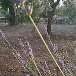 Tenuta La Siesta Farm stay Gallipoli