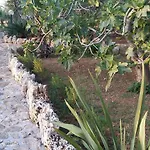 Tenuta La Siesta