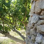Farm stay Tenuta La Siesta Gallipoli