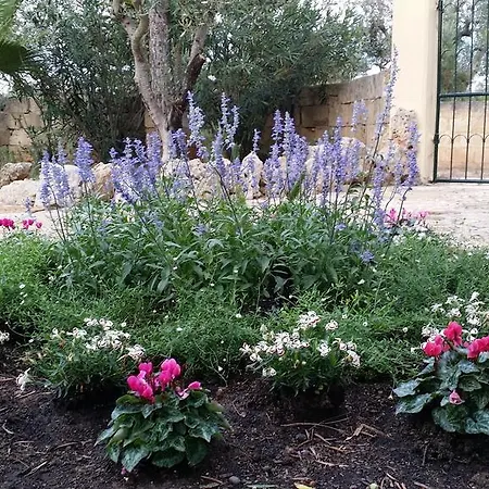 Tenuta La Siesta Alloggio per agriturismo *