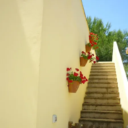 Tenuta La Siesta