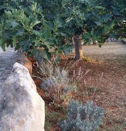 Agroturismo Tenuta La Siesta *