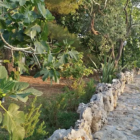 Tenuta La Siesta Фермерський будинок *