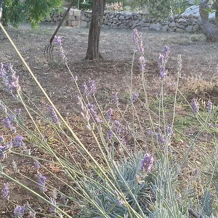 Alloggio per agriturismo Tenuta La Siesta Gallipoli