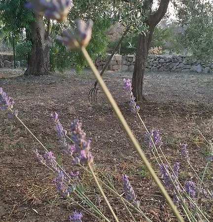 Tenuta La Siesta Фермерський будинок Галліполі