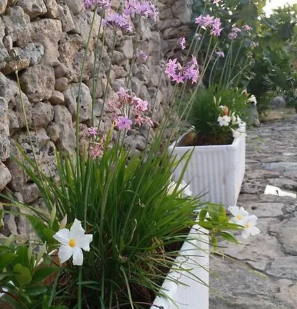 Tenuta La Siesta *