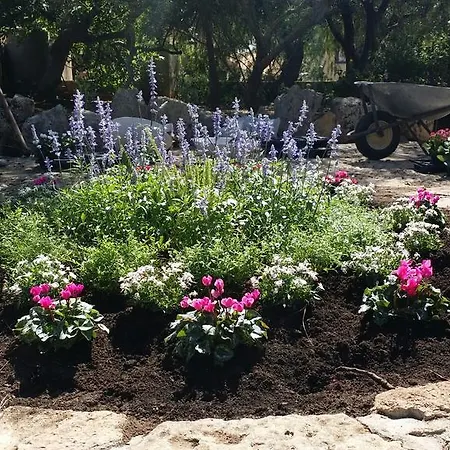 Tenuta La Siesta Agroturismo *