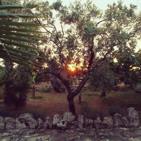 Tenuta La Siesta ガリポリ