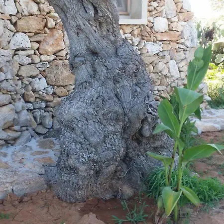 Alloggio per agriturismo Tenuta La Siesta Gallipoli