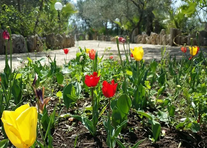 Farm stay Tenuta La Siesta