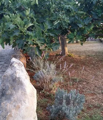 Farm stay Tenuta La Siesta *