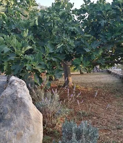 Farm stay Tenuta La Siesta *