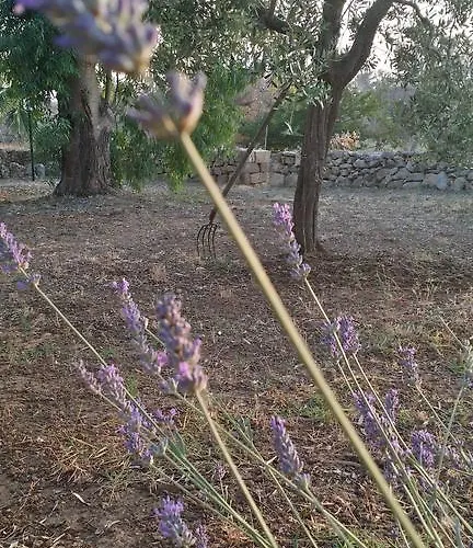 Tenuta La Siesta Çiftlik konaklama Gallipoli
