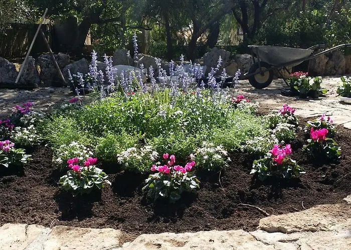 Tenuta La Siesta مزرعة للإقامة *