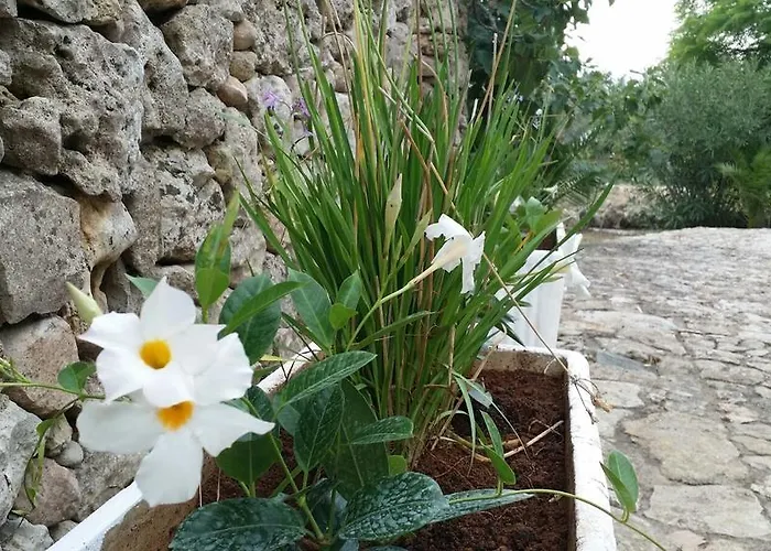 Tenuta La Siesta * Gallipoli