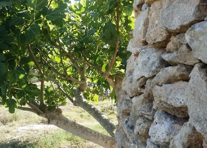 مزرعة للإقامة Tenuta La Siesta غالّيبولي